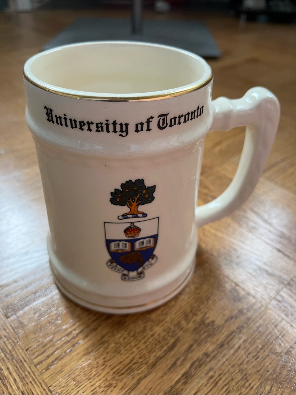 Rare Vintage University of Toronto Beer Stein 22K Gold Trim